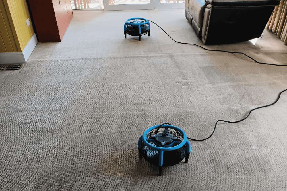 Carpet cleaning Yass